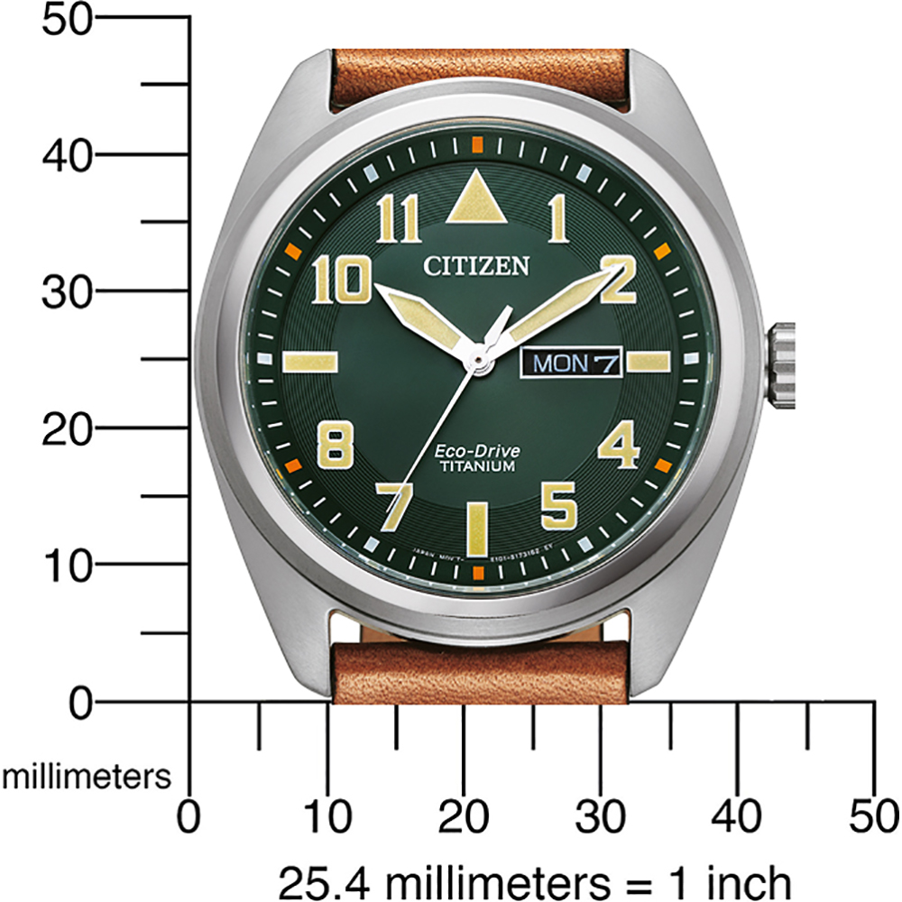 Field watch 2025 citizen