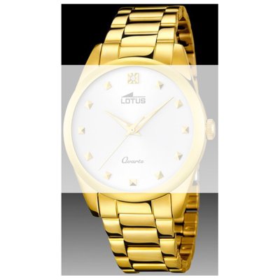 Lotus Straps BA03564 18143 Strap