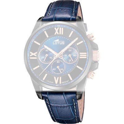 Lotus BC11408 Casual Chic Strap