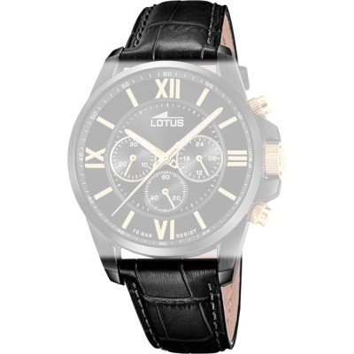 Lotus BC11409 Casual Chic Strap