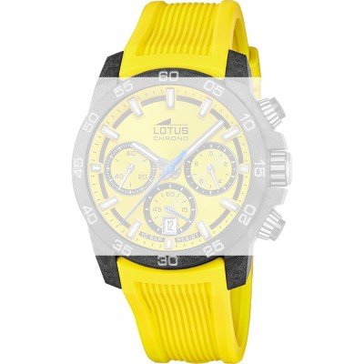 Lotus BC11776 Carbon Strap