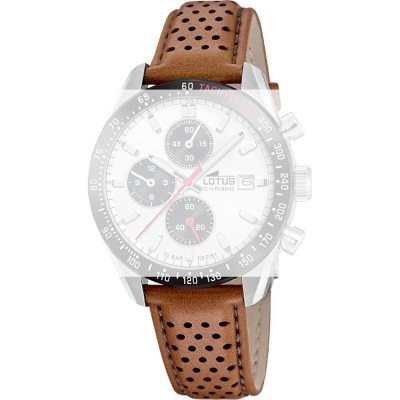 Lotus BC11876 Archive Strap