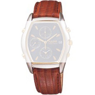 Pulsar Straps 7BB3LZ Strap