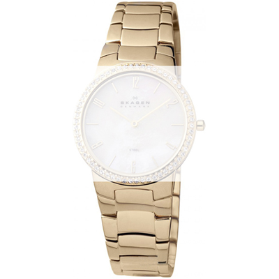 Skagen Straps A644LGGX 644LGGX 644 Large Strap
